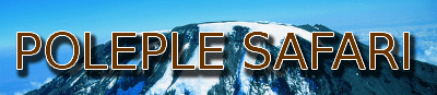 POLEPOLE SAFARI�F�^���U�j�A��10�N�ȏ�c�Ƃ��Ă��܂��B