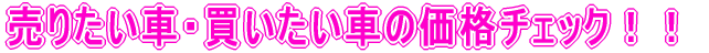 肽ԁEԂ̉i`FbNII